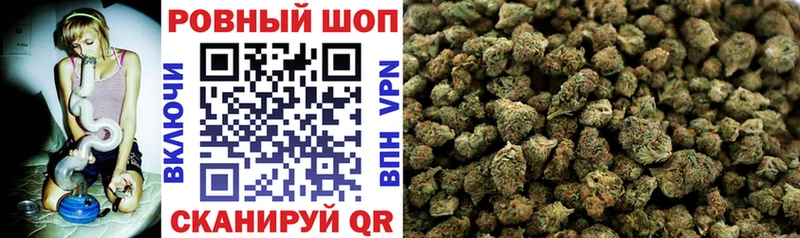 ЭКСТАЗИ Владимир