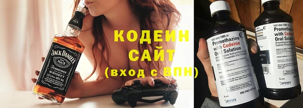 крисы Елабуга