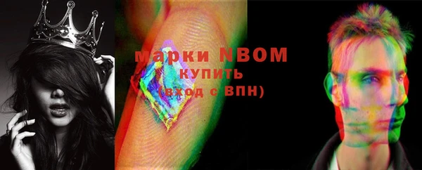 крисы Елабуга