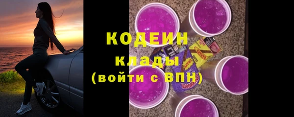 прущие крисы Елизово