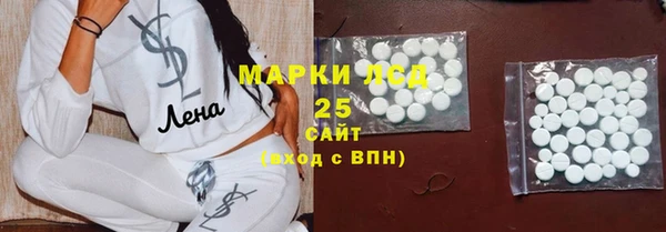 крисы Елабуга
