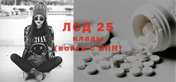 крисы Елабуга