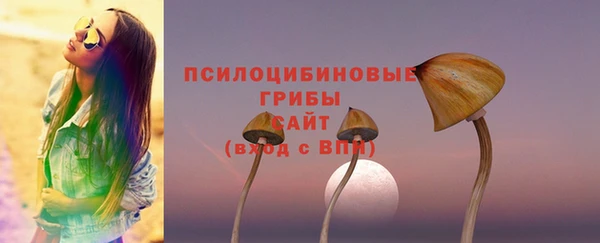 крисы Елабуга