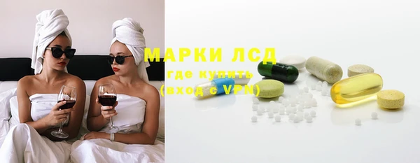 крисы Елабуга