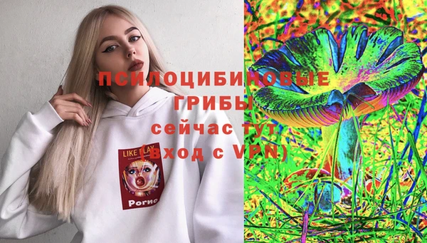 крисы Елабуга