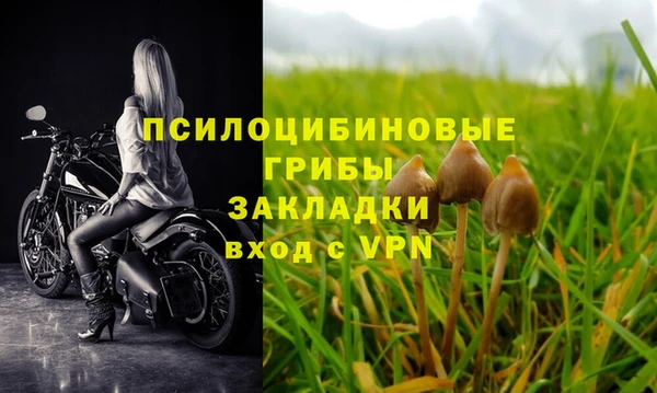 кокаин премиум Ельня