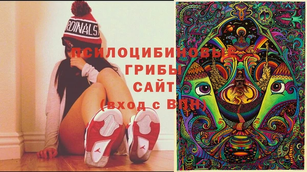 кокаин премиум Ельня