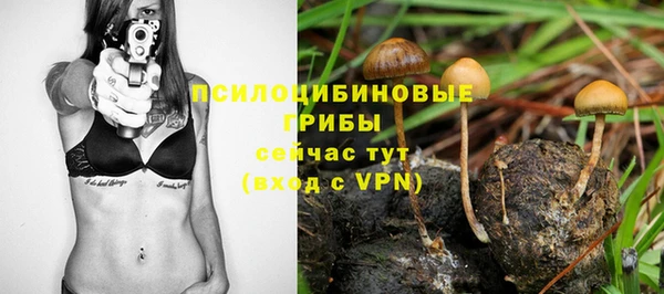 прущие крисы Елизово