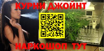 гидра Братск