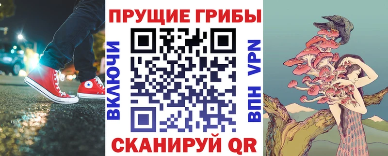 продажа наркотиков  Владимир  Псилоцибиновые грибы GOLDEN TEACHER 