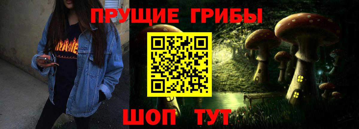 Псилоцибиновые грибы MAGIC MUSHROOMS  Вход с VPN  Владимир  Псилоцибиновые грибы мицелий 